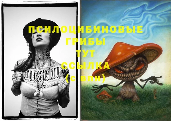 синтетический гашиш Богданович